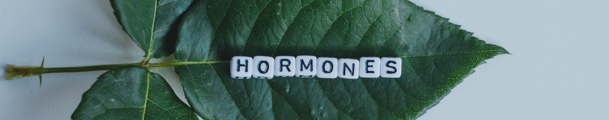 Do women need more sleep than men?  A photograph of a green leaf with hormones spelt out in lettered cubes on top of the leaf. | Intus Healthcare